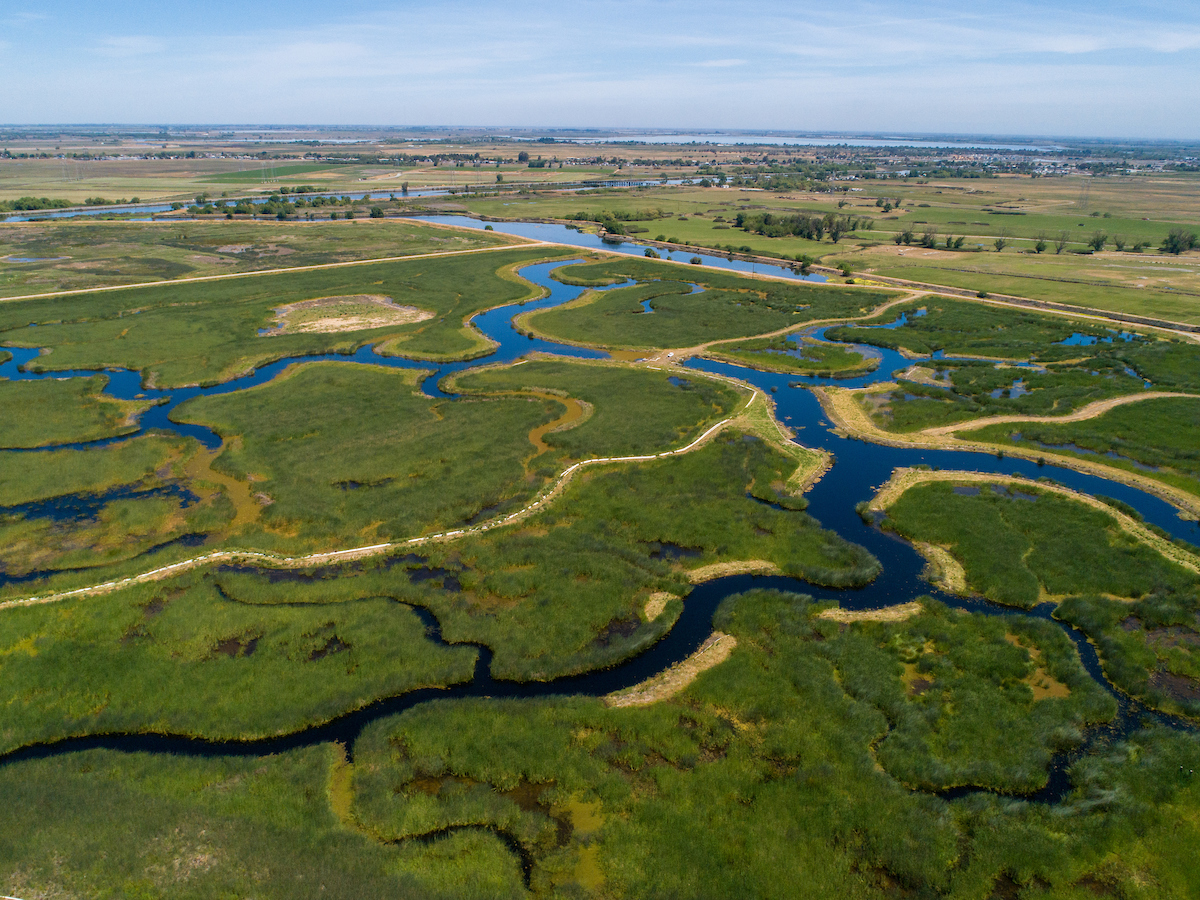 Dutch Slough